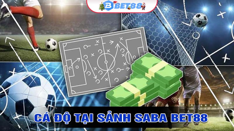 Trải Nghiệm Cá Độ Tại Sảnh Saba bet88