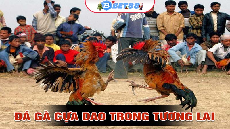 Trò chơi Đá Gà Cựa Dao phát triển trong tương lai